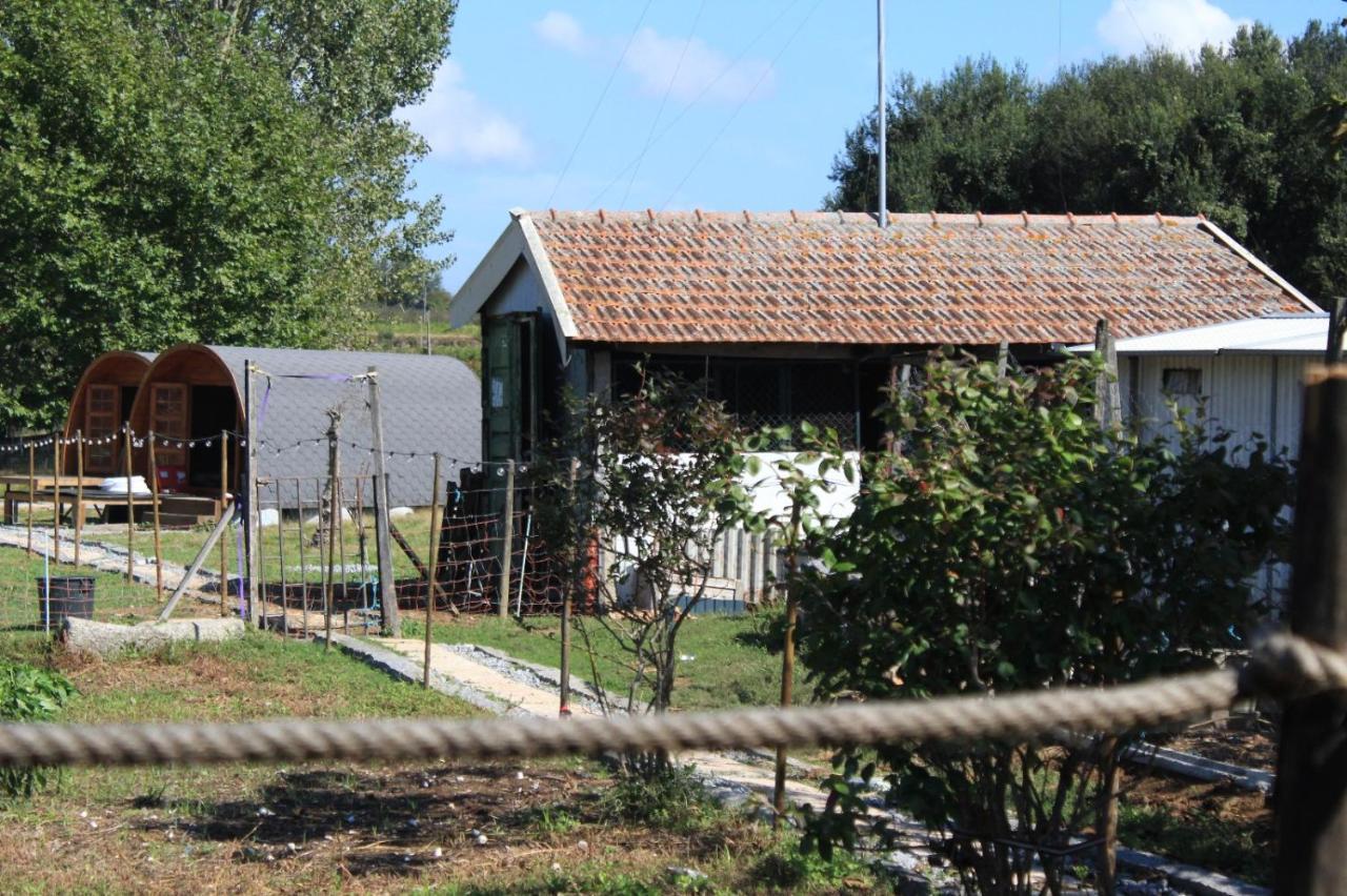 מלון פאסוס דה פריירה Casa Da Avo Miquinhas מראה חיצוני תמונה
