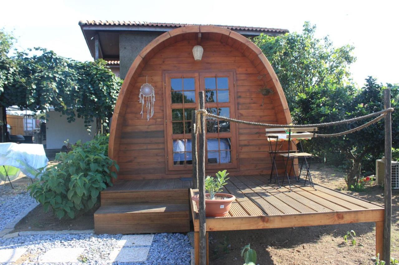 מלון פאסוס דה פריירה Casa Da Avo Miquinhas מראה חיצוני תמונה
